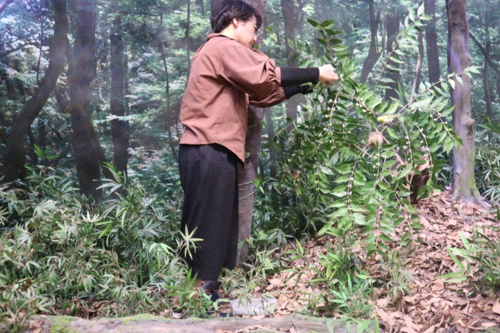 落ちてしまったナナフシモドキをテグスで吊ることにしました