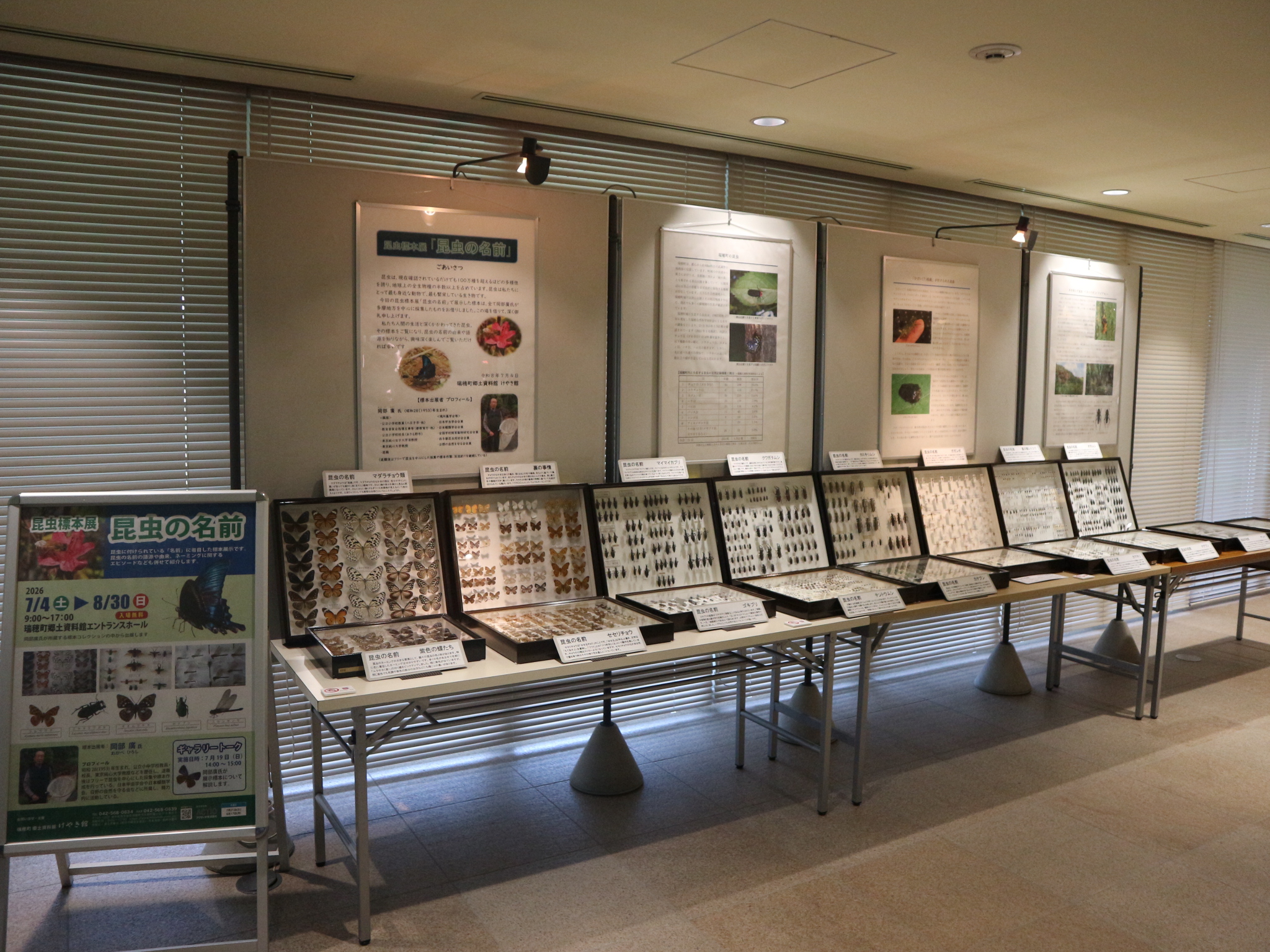 昆虫標本展「昆虫の名前」 - 瑞穂町郷土資料館 けやき館 - 瑞穂の歴史